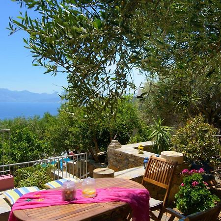 Villa Olga آغيوس نيكولاوس المظهر الخارجي الصورة